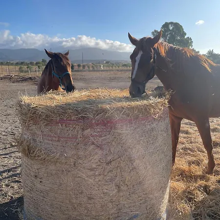 Ranch, Piscina Privata E Parcheggio Gratuito