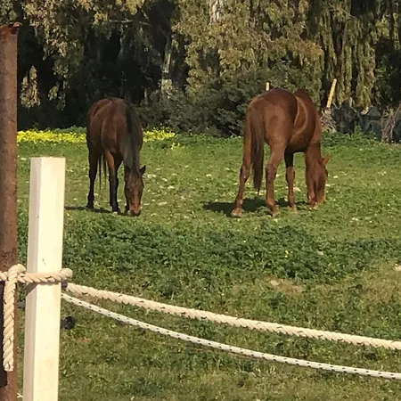 Ranch, Piscina Privata E Parcheggio Gratuito Διαμέρισμα Maracalagonis